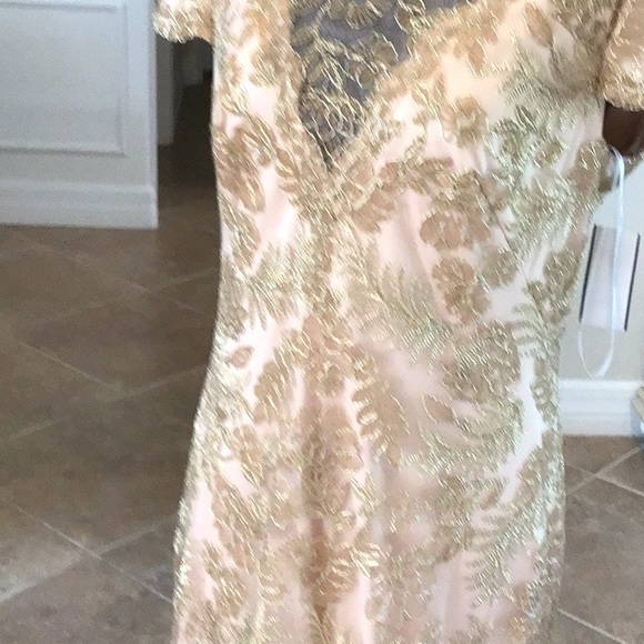 Tadashi Shoji gown, gold lace over blush shell, back zip, v back, size 14, NWT - Picture 3 of 12
